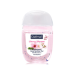 Antibacterial Hand Sanitizer (62% Alcohol)